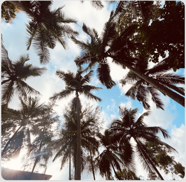 Stuffs I Click